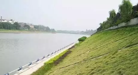 世界杯线上平台,环保