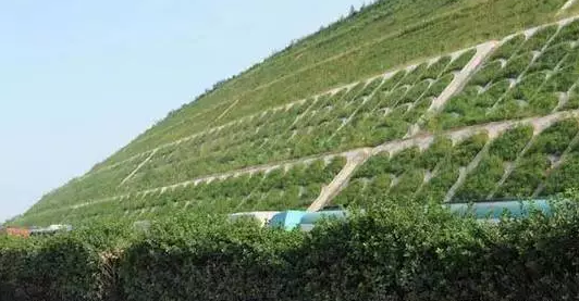 世界杯线上平台,环保